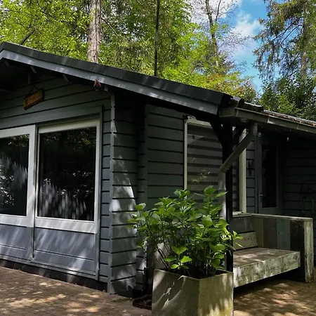 Dreamwoodz - Droomchalet Op De Veluwe Holiday home *