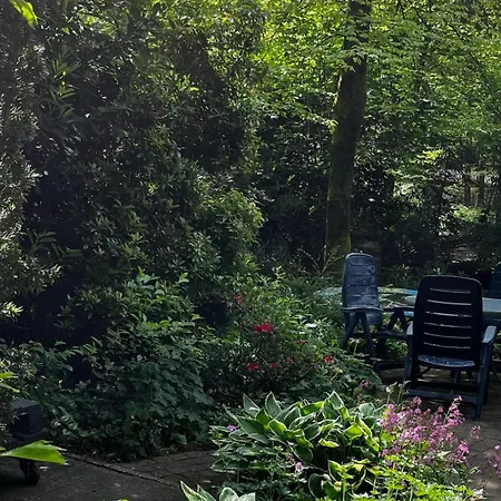 Dreamwoodz - Droomchalet Op De Veluwe *