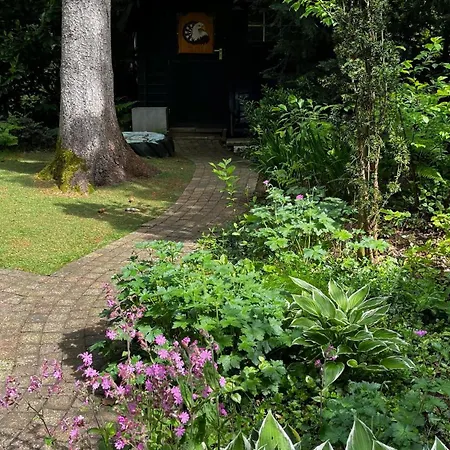 Dreamwoodz - Droomchalet Op De Veluwe Laag-Soeren