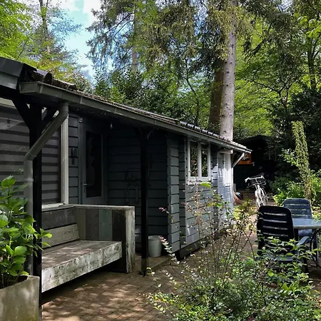 Dreamwoodz - Droomchalet Op De Veluwe