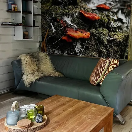 Dreamwoodz - Droomchalet Op De Veluwe Дом отдыха *