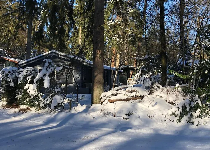 Dreamwoodz - Droomchalet Op De Veluwe * Laag-Soeren