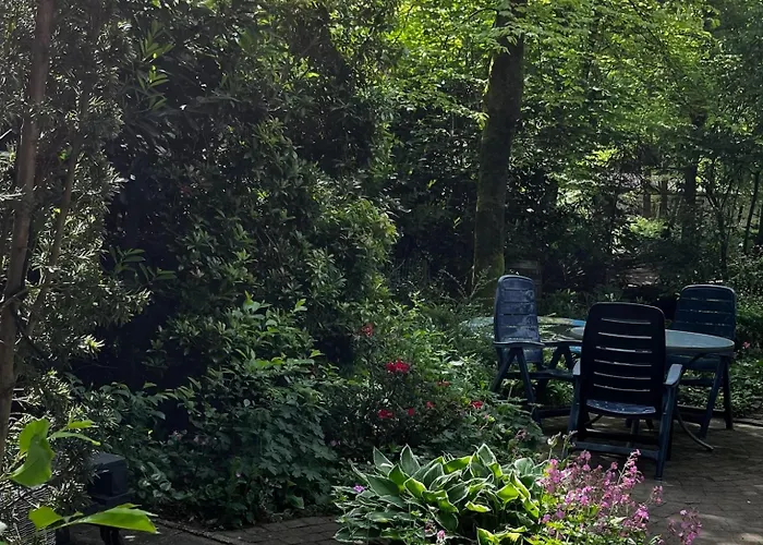 Dreamwoodz - Droomchalet Op De Veluwe *