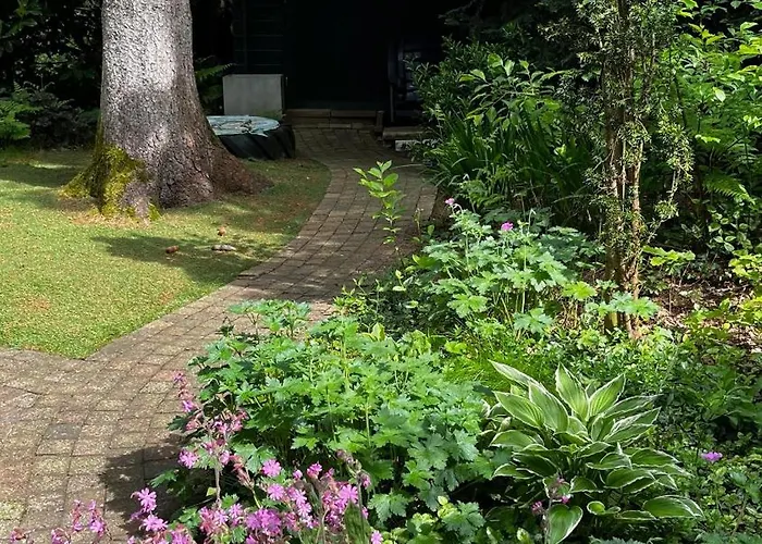 Dreamwoodz - Droomchalet Op De Veluwe Laag-Soeren