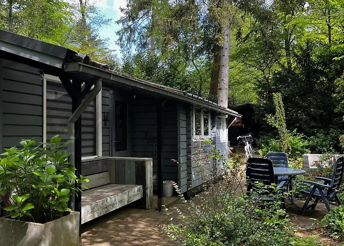 Dreamwoodz - Droomchalet Op De Veluwe