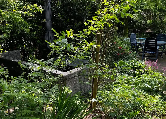 Semesterbostad Dreamwoodz - Droomchalet Op De Veluwe Laag-Soeren